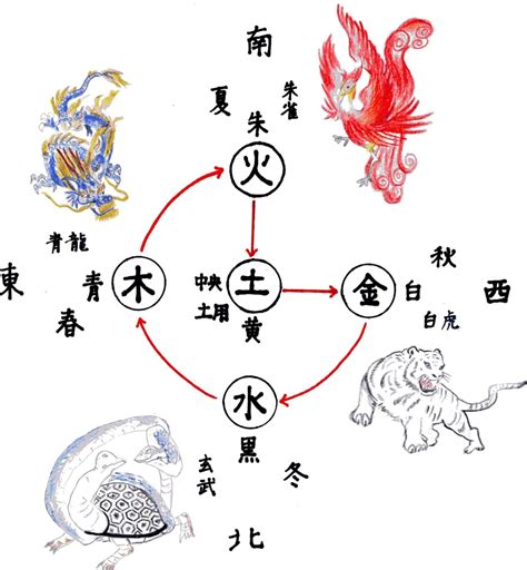 陰陽五行 動物|陰陽